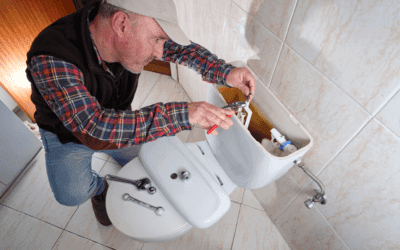 Tree Roots in Sewer Lines? Cedar Park Camera Inspections