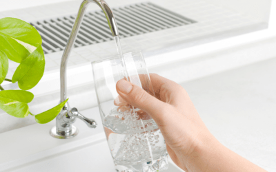 Understanding the Distinction between Water Purifiers and Water Filters
