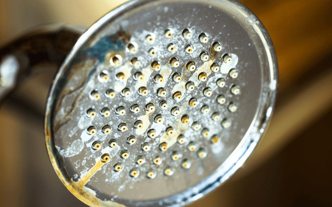 Signs that You Need to Replace Your Showerhead