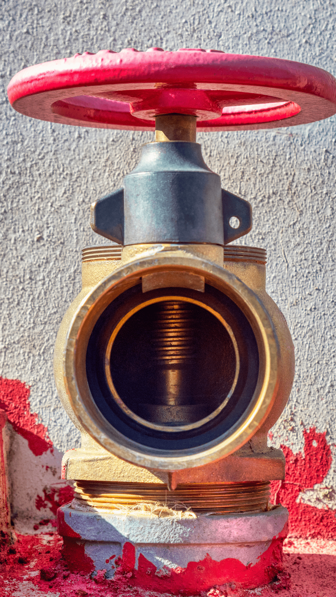 valve repair or replacement