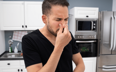 What Does Sulfur Smell Like and What It Means for Your Plumbing?