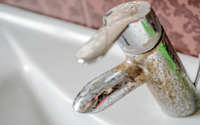 How to Tell if You Have Hard Water and Why It Matters