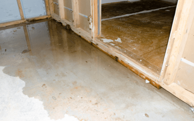 Understanding and Preventing Backflow: Ensuring Water Safety