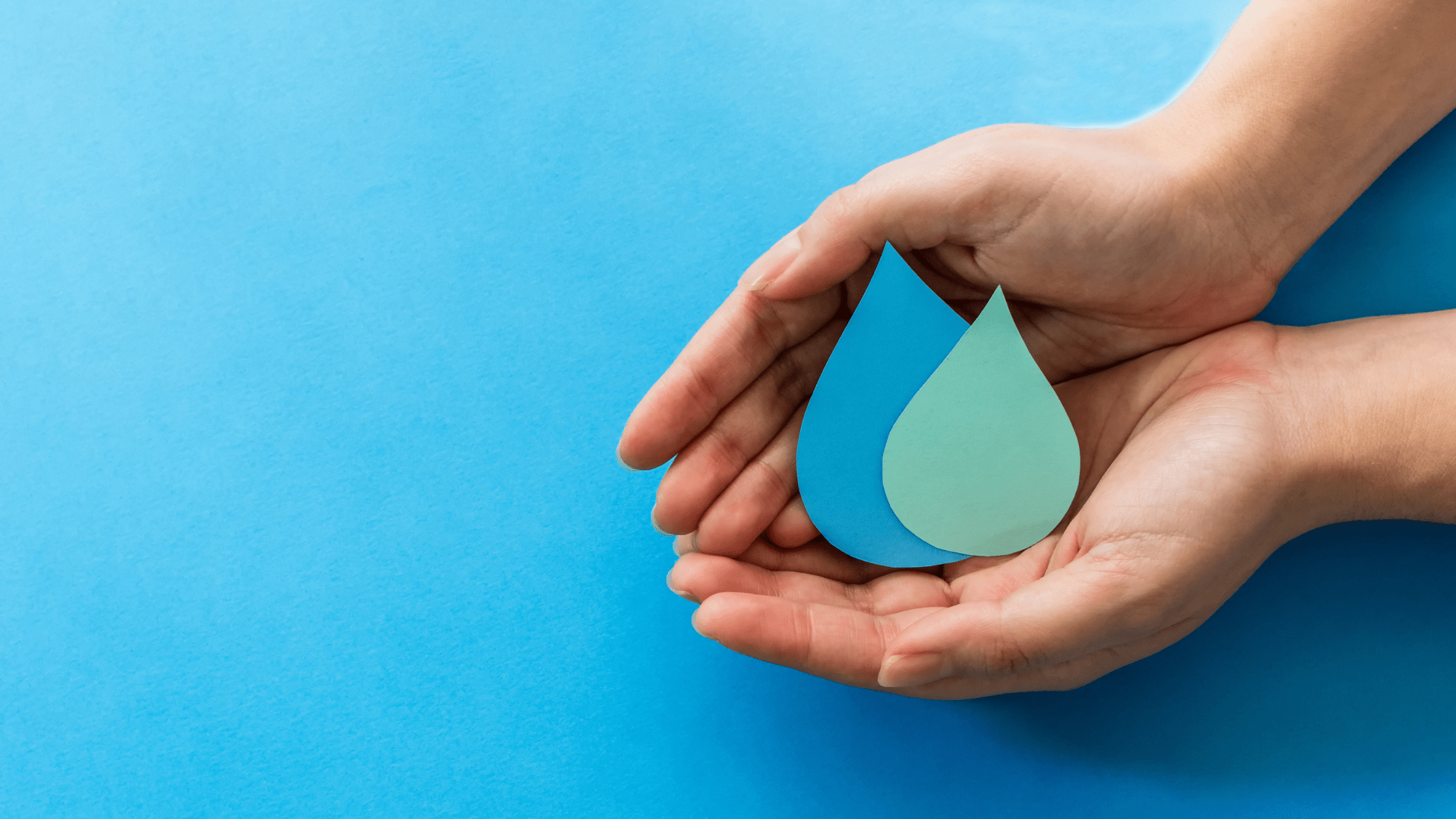 Easy and Effective Ways to Save Water: Eco-Friendly Plumbing Solutions