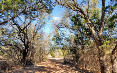 Exploring the Jewel of Leander: Southwest Williamson County Regional Park