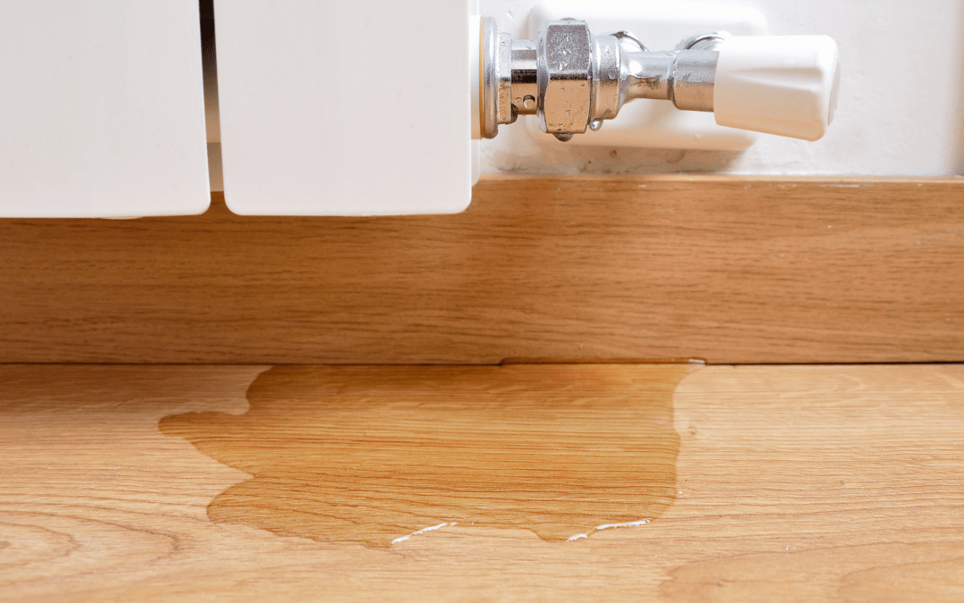 Signs of a Hidden Leak: How to Spot Trouble Before It Escalates