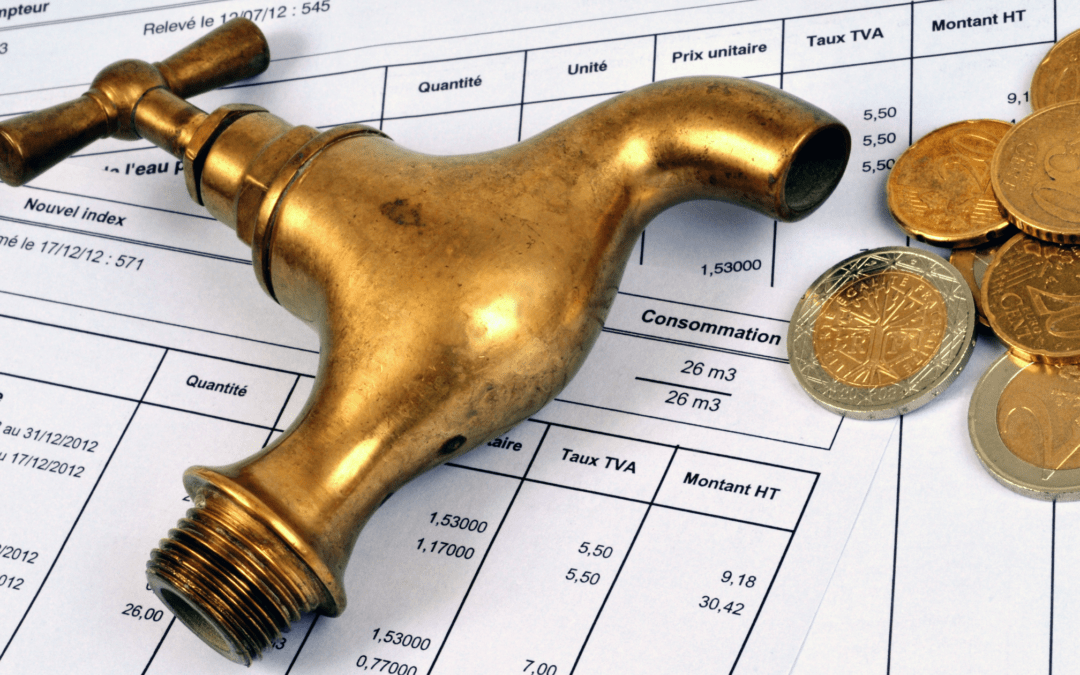 The Water-Wise Home: Strategies for Lowering Your Plumbing Bills