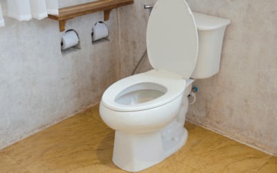 The Great Debate: Should Toilet Water be Softened?