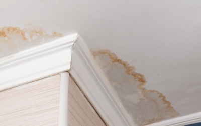 Protecting Your Home from Water Damage: Tips from the Pros