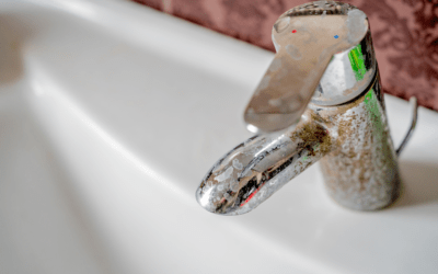 Understanding the Impact of Hard Water on Your Plumbing System