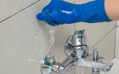 Upgrading Plumbing Fixtures: Benefits of Modernizing Your Plumbing Fixtures and Appliances for Efficiency