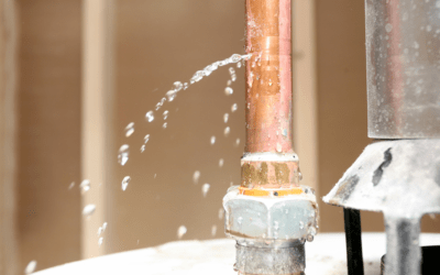 The Dangers of Ignoring a Water Leak in Your Plumbing System